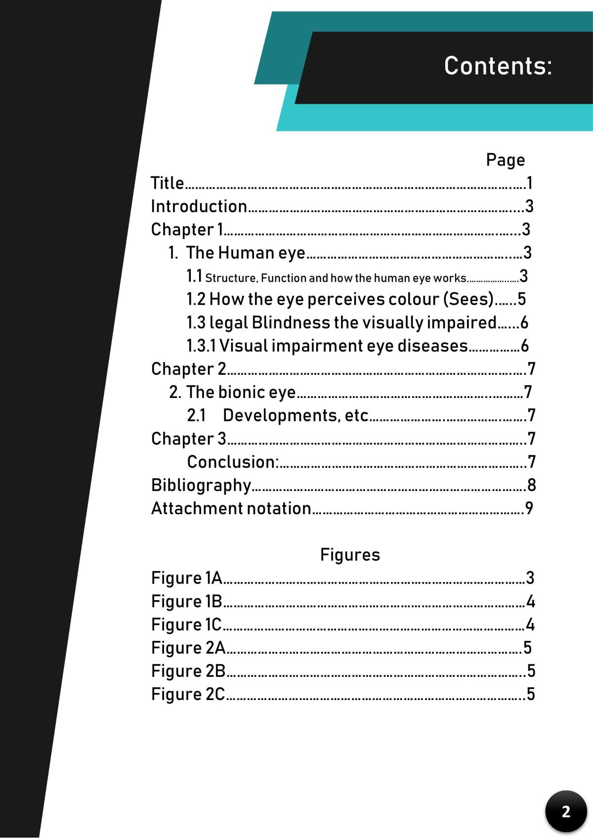 The Bionic eye SHE task  - Page 2