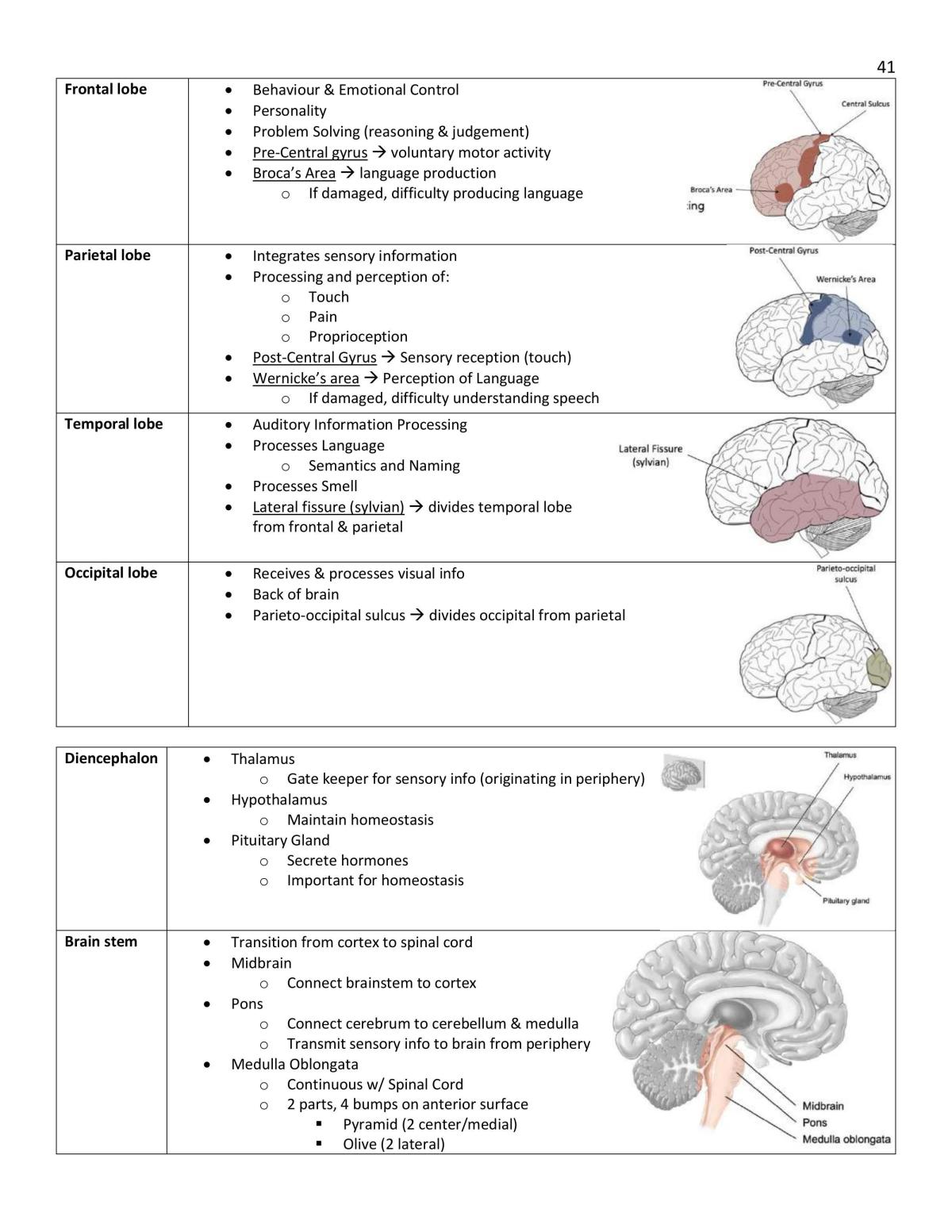 Health Science 2300 Notes - Page 41