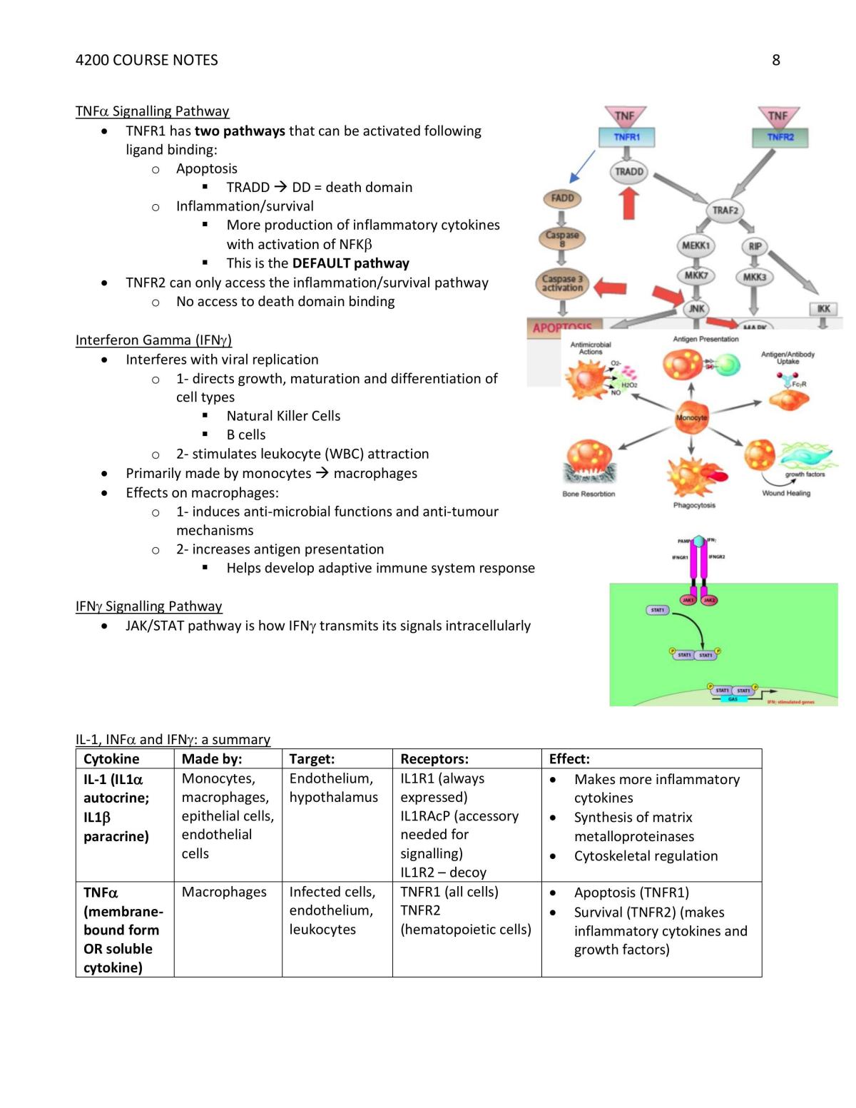 Medical Sciences 4200 - Page 8