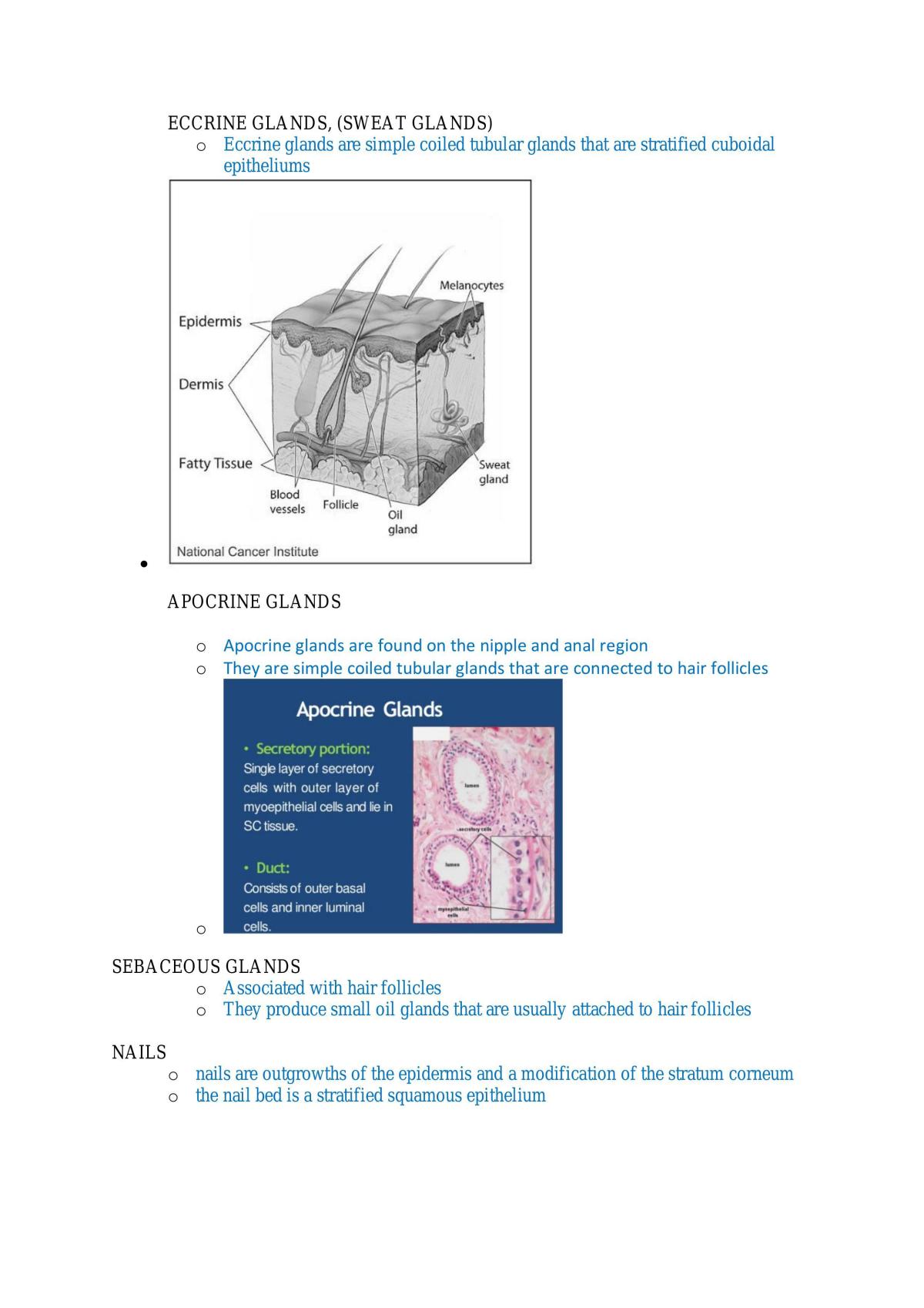 Study Notes - Page 16