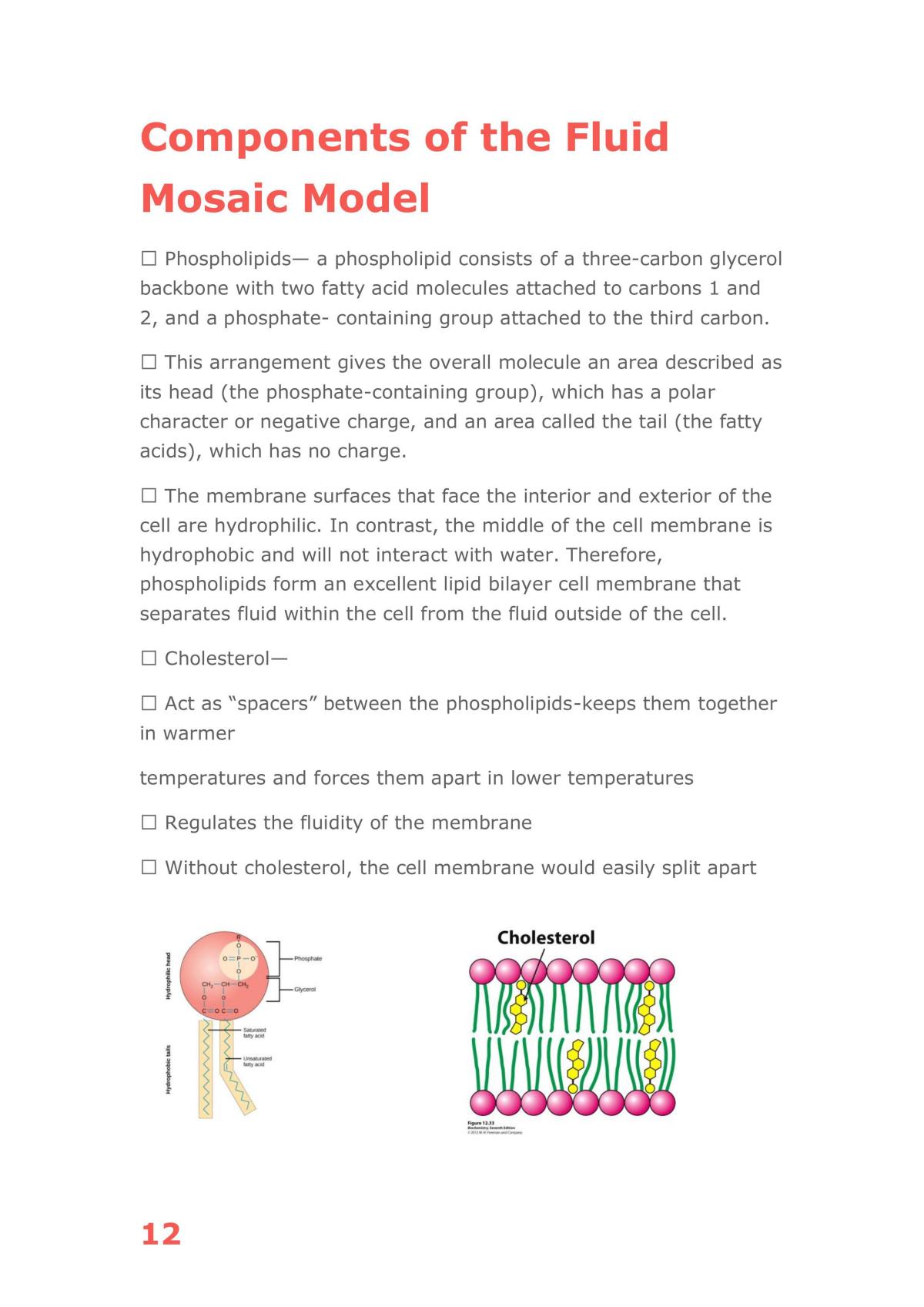 Bio notes term 1 Y11 - Page 12