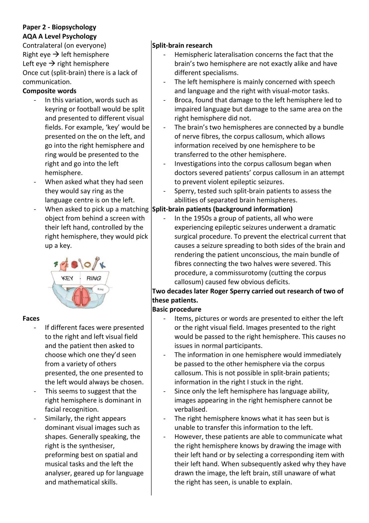 Biopsychology notes - Page 8
