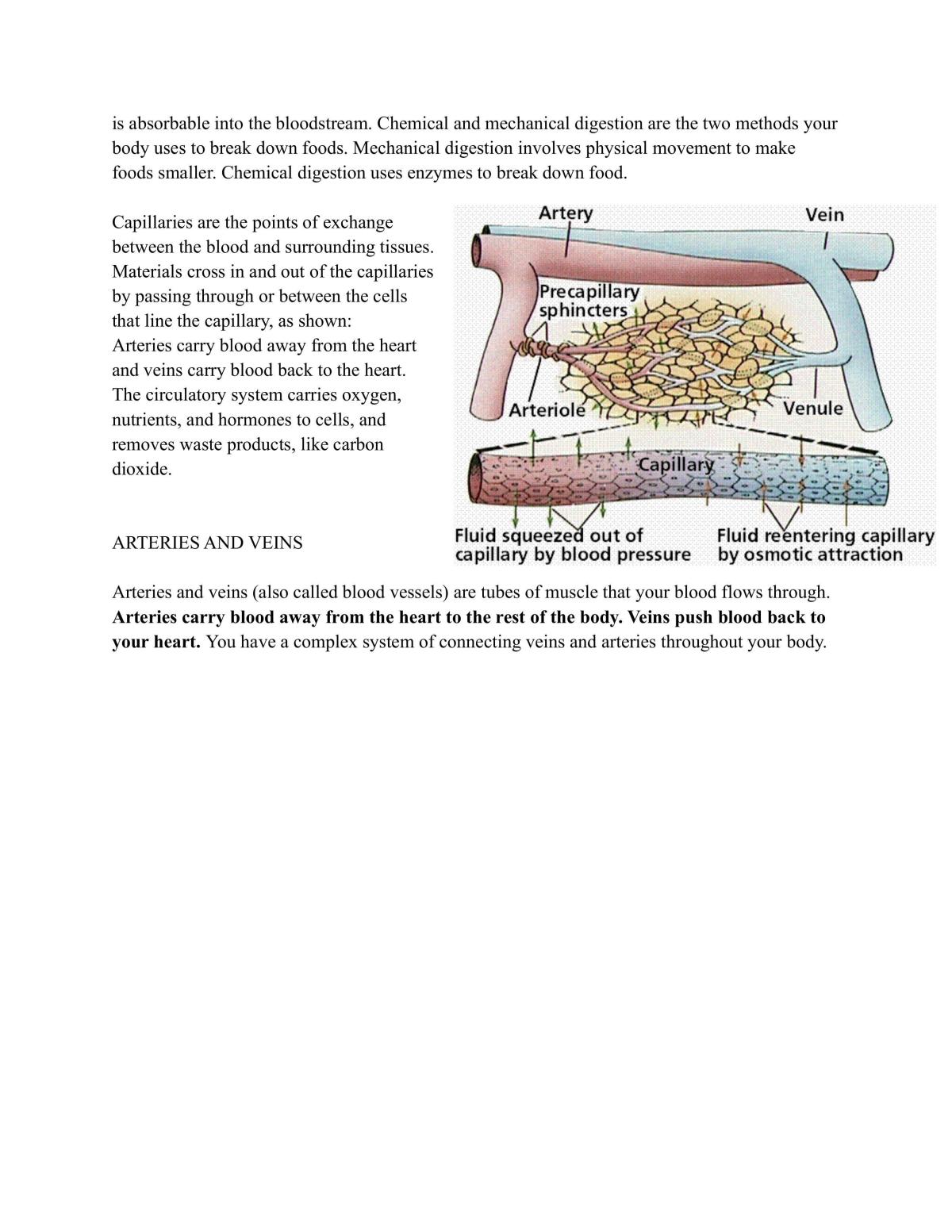 Preliminary Biology complete study notes - Page 34