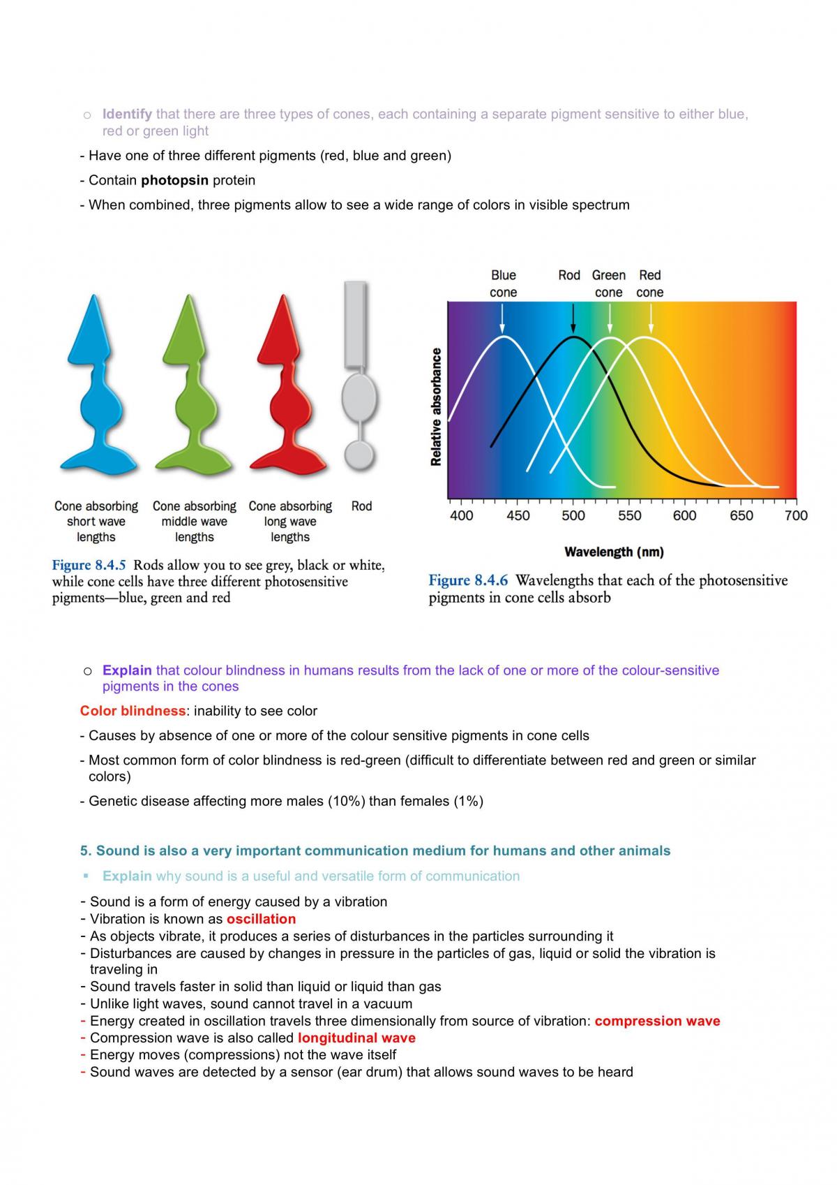 Communication Notes- HSC Biology - Page 13