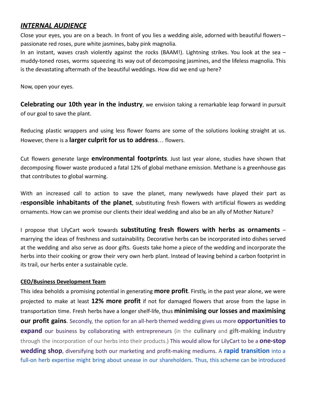 Elevator Pitch - Page 2