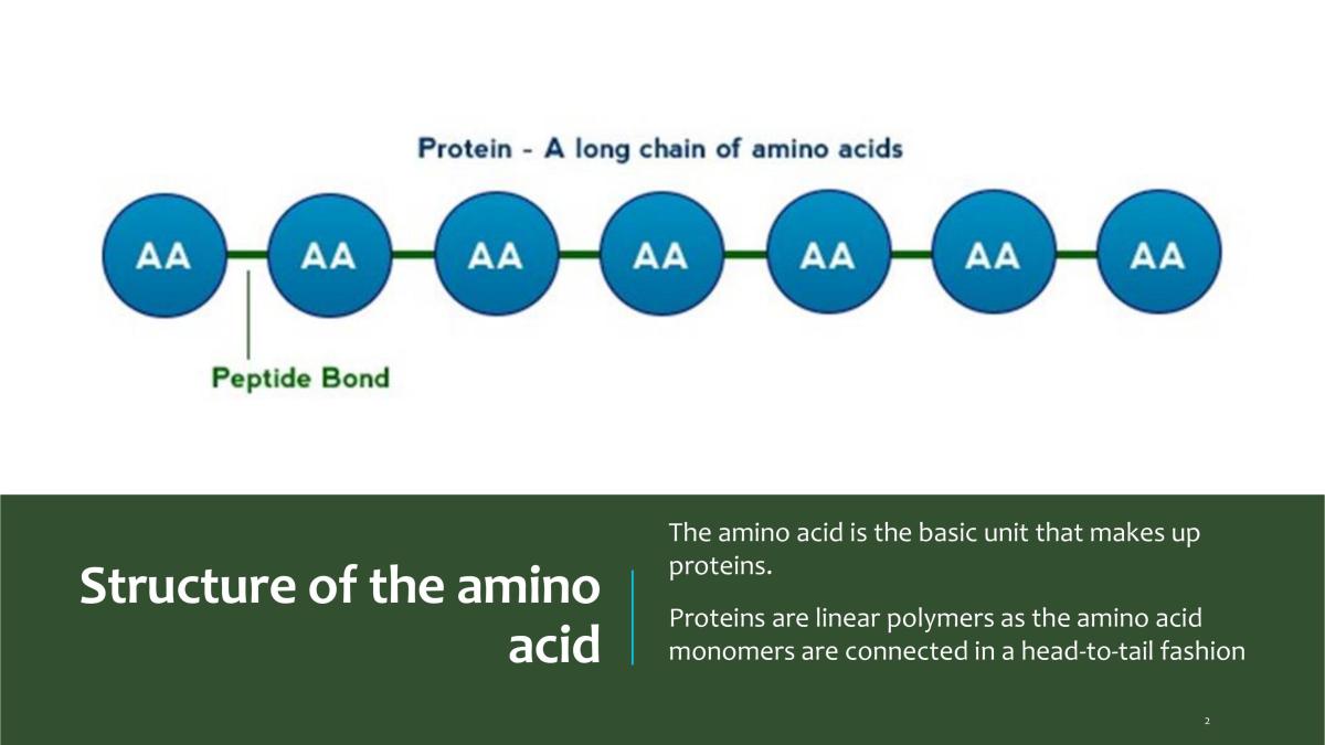 Biochemistry: Proteins - Page 2