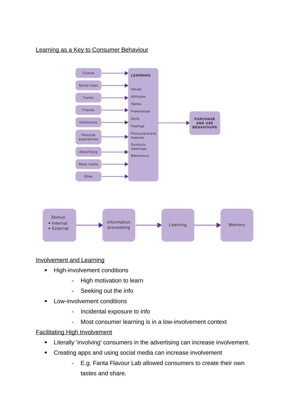 Buyer Behaviour Notes - Page 33