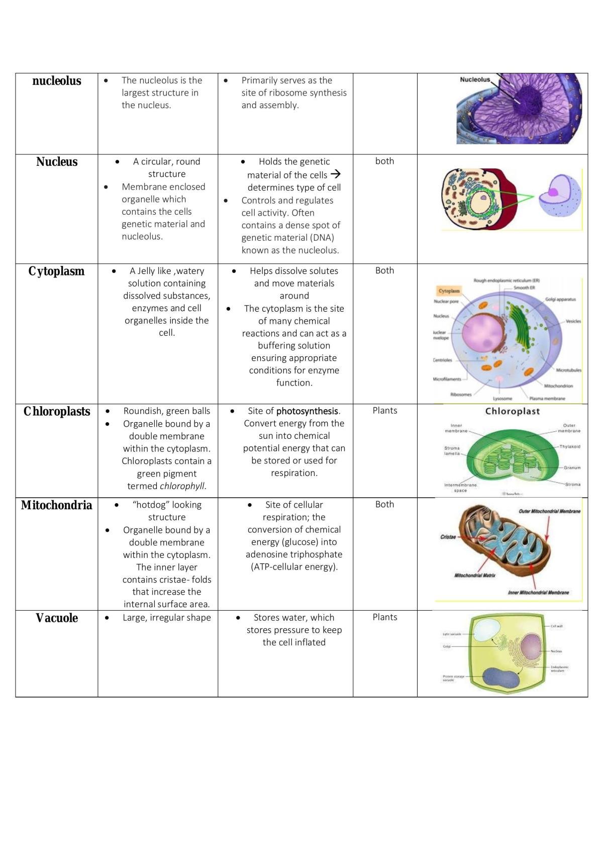 Ncea Level 2 Biology Full Study Notes - Page 7
