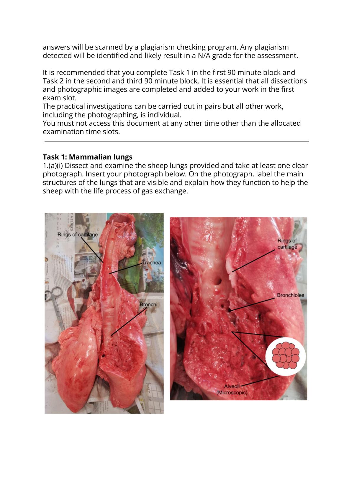 1.10 Internal Assessment - Page 2