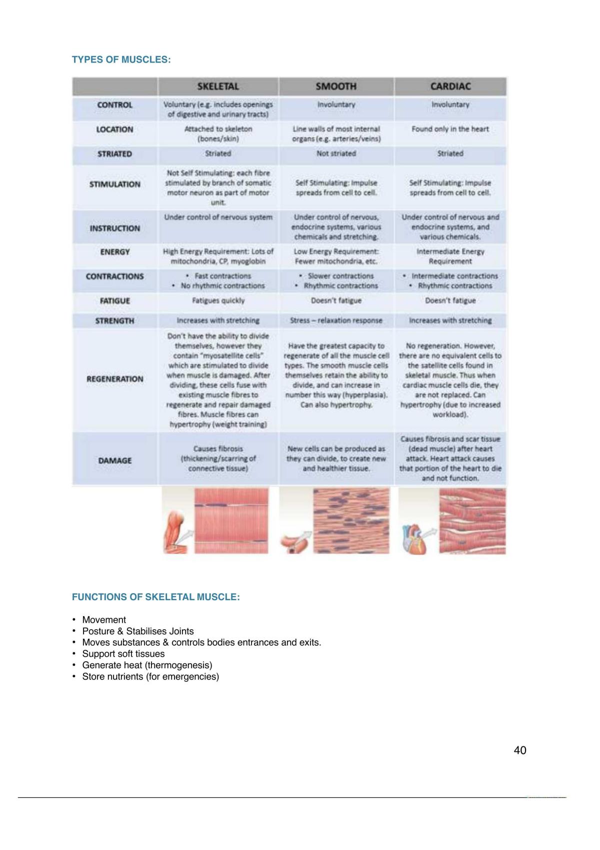 Human Biological Science 1 Summary Notes - Page 40