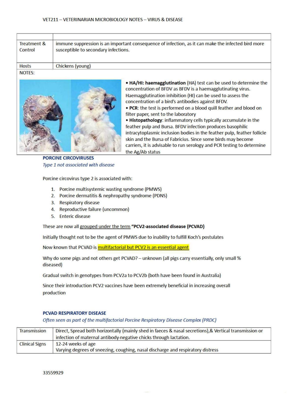 Veterinary Microbiology Lecture Notes - Page 25