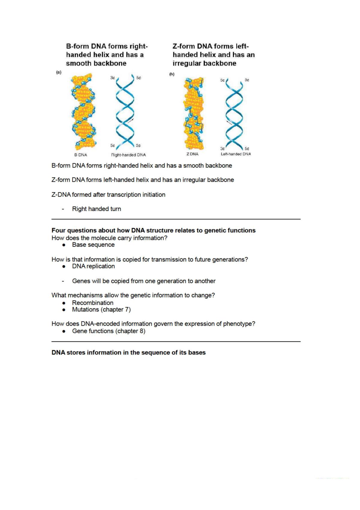 Lecture 6 - DNA structure, replication and recombination - Page 11