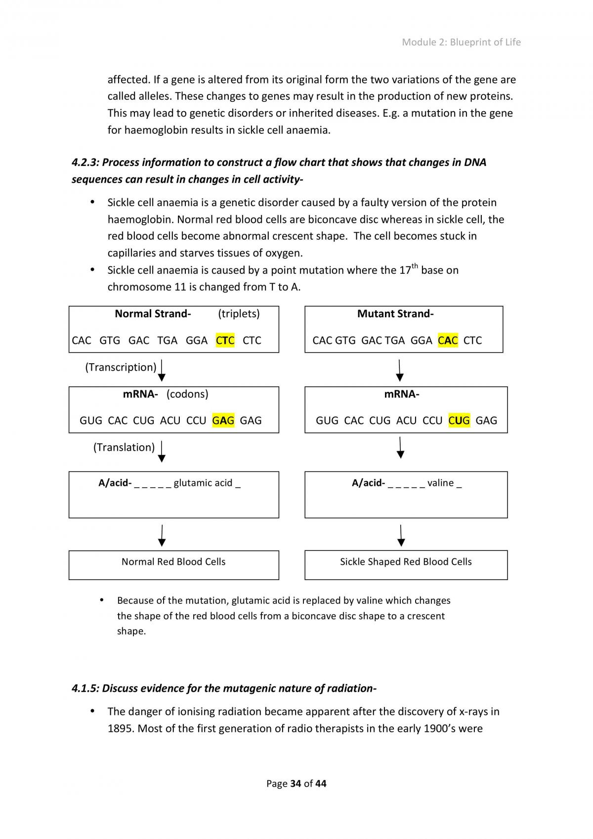 Blue Print Of Life Study Notes Biology HSC - Page 10
