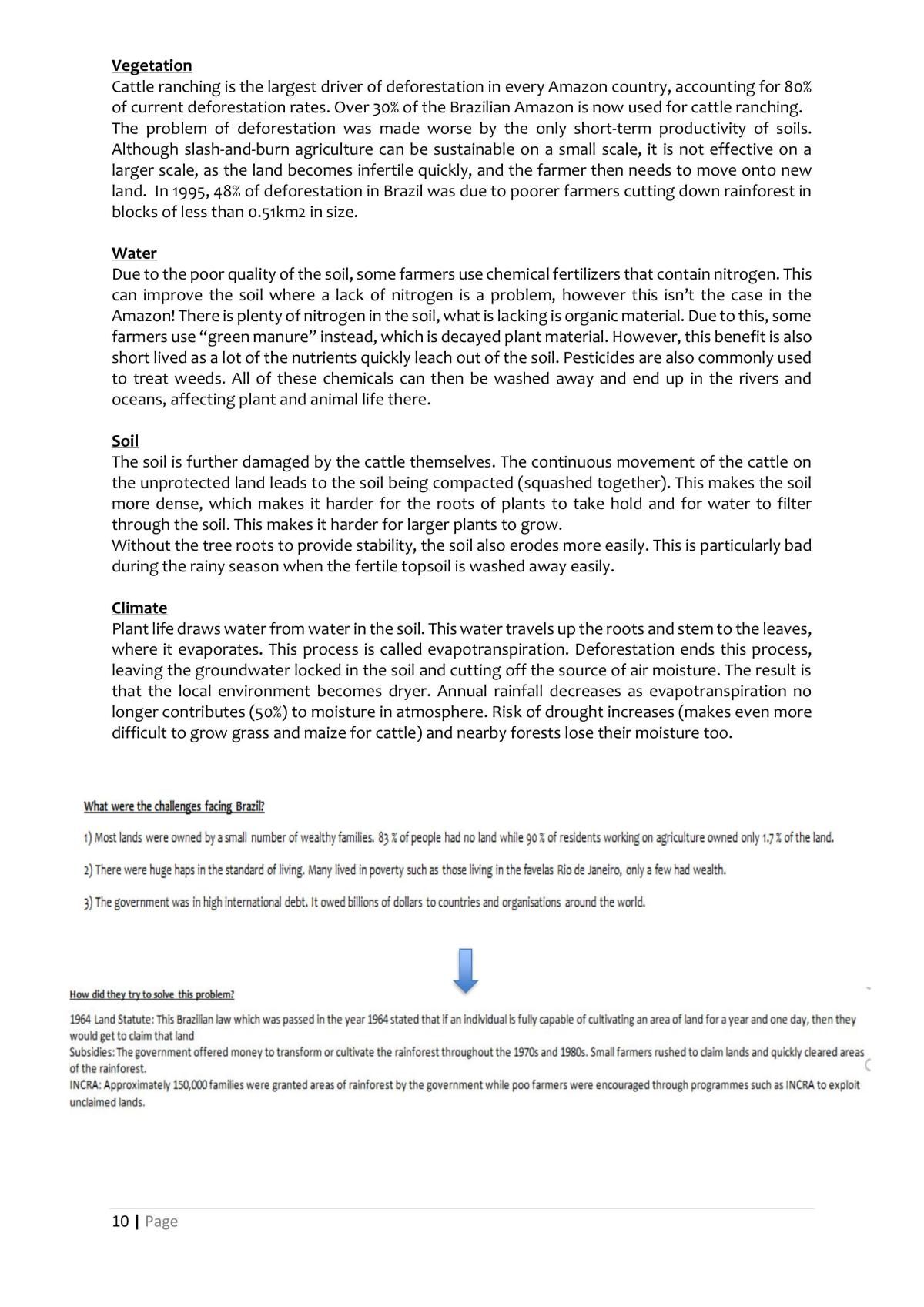 AS91240 Geography - Amazon Rainforest  - Page 10