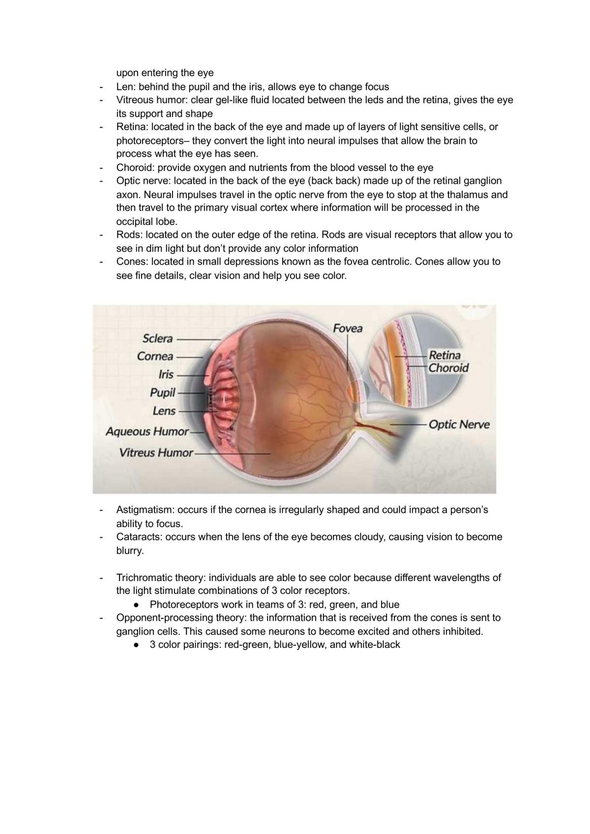 Unit 1-6 Study Guide - Page 12