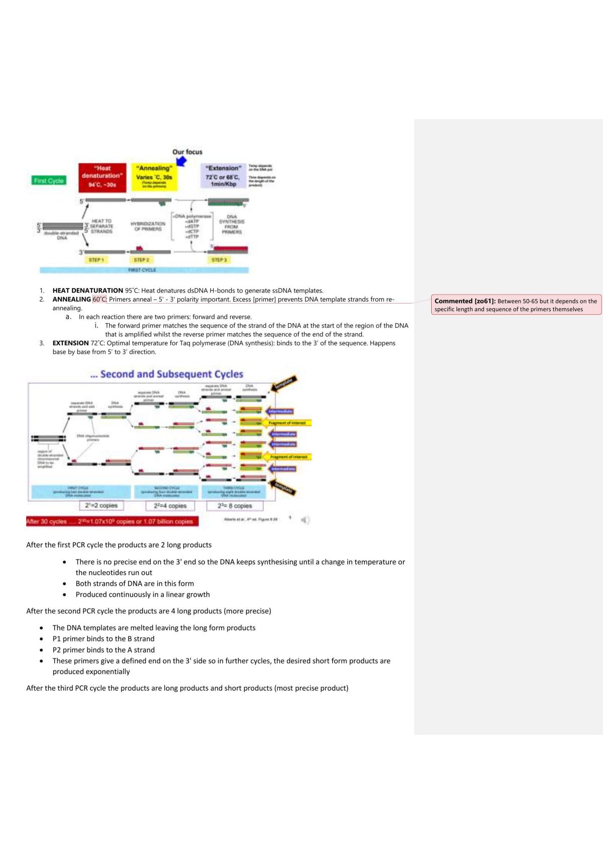 Recombinant BNA Technology: Full Notes on Genetic Engineering - Page 48