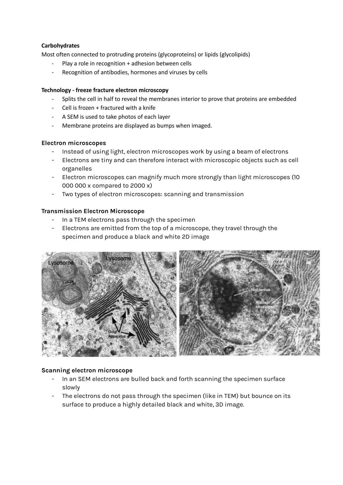 Year 11 preliminary bio notes - Page 8