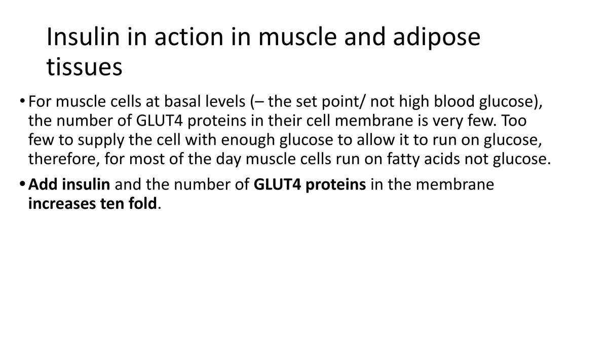 Homeostasis Glucose Regulation - Page 58