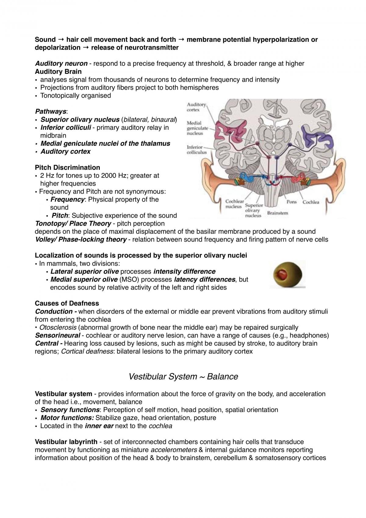 PSY1BNB Exam Study Notes - Page 16