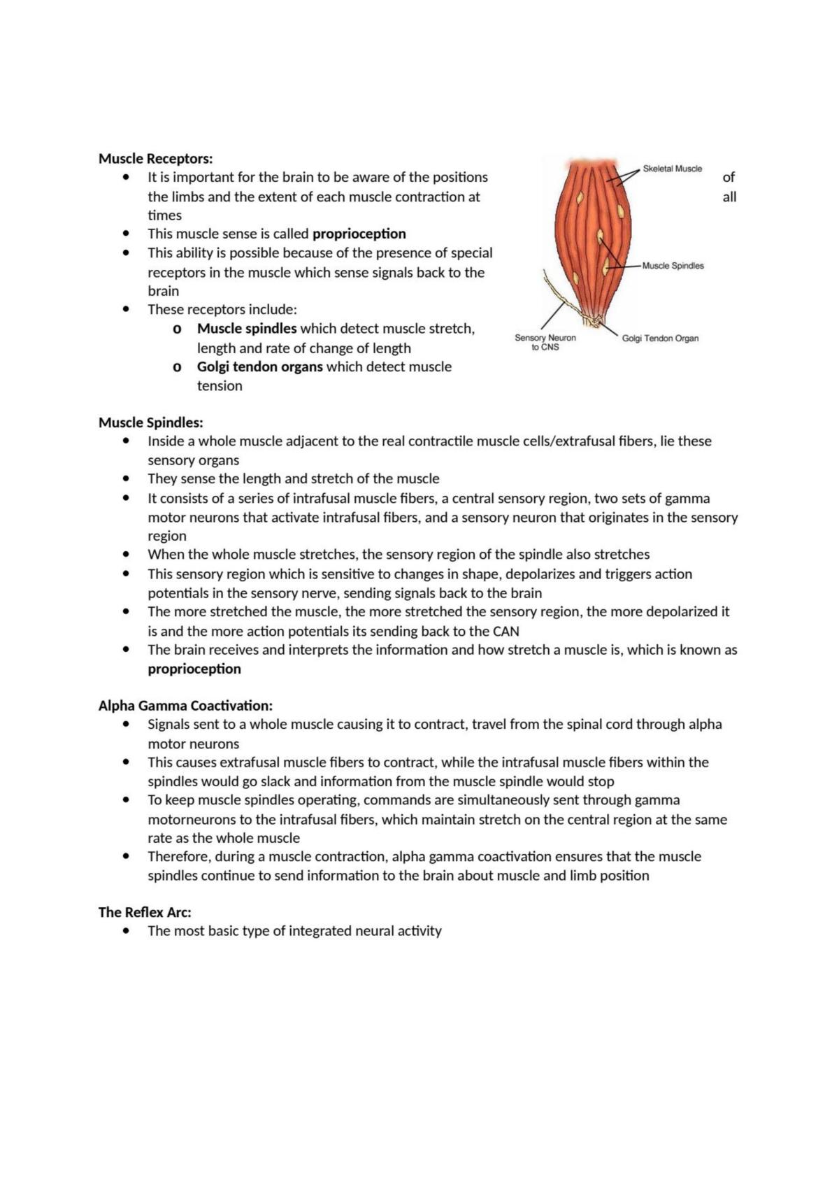 Physiological Processes Notes - Page 26