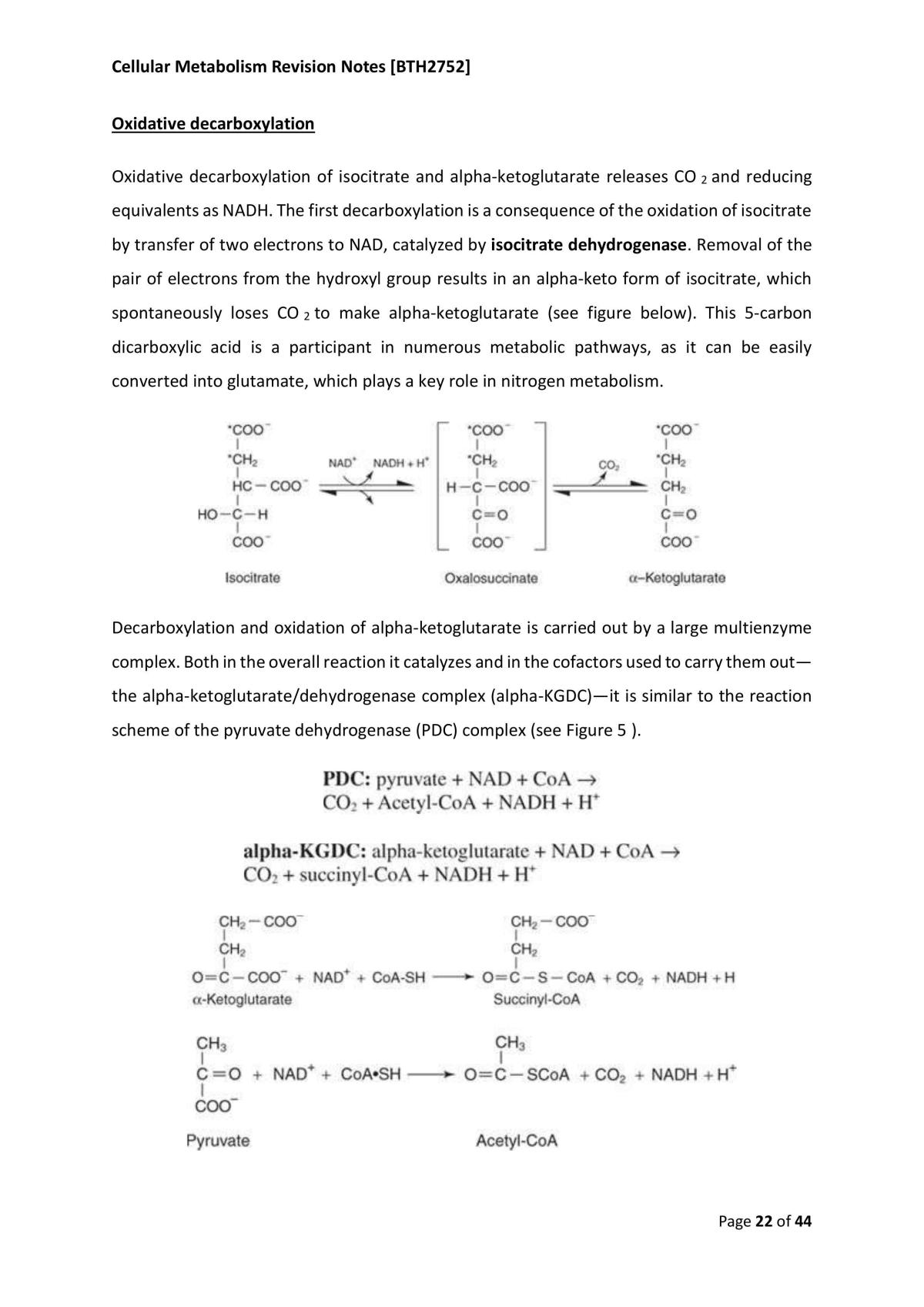 Cellular Metabolism Revision Notes - Page 22