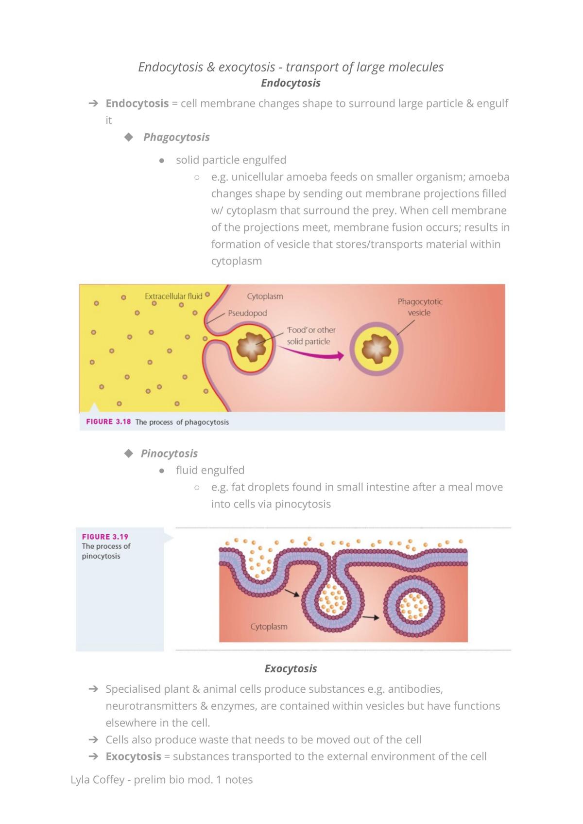 Biology notes - Page 14