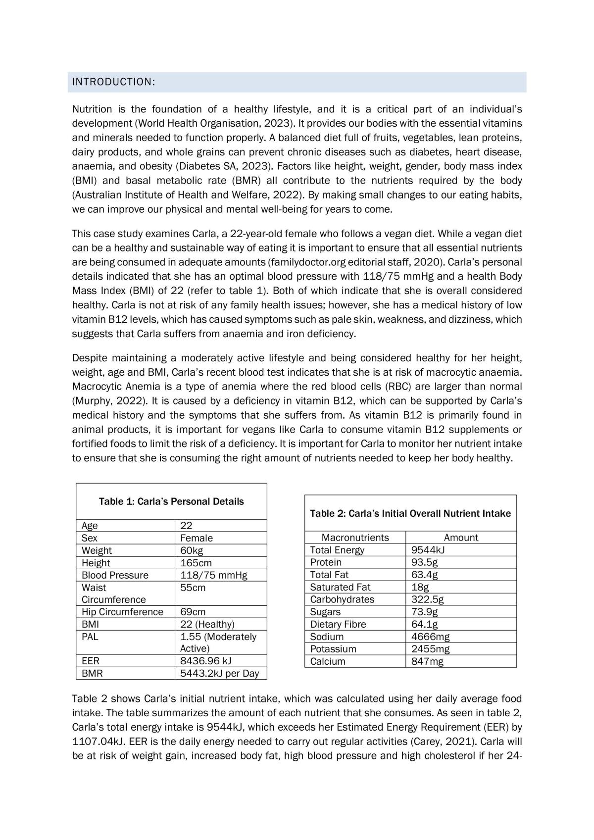 Stage 2 - Skills and Application Task: Case Study - Page 2