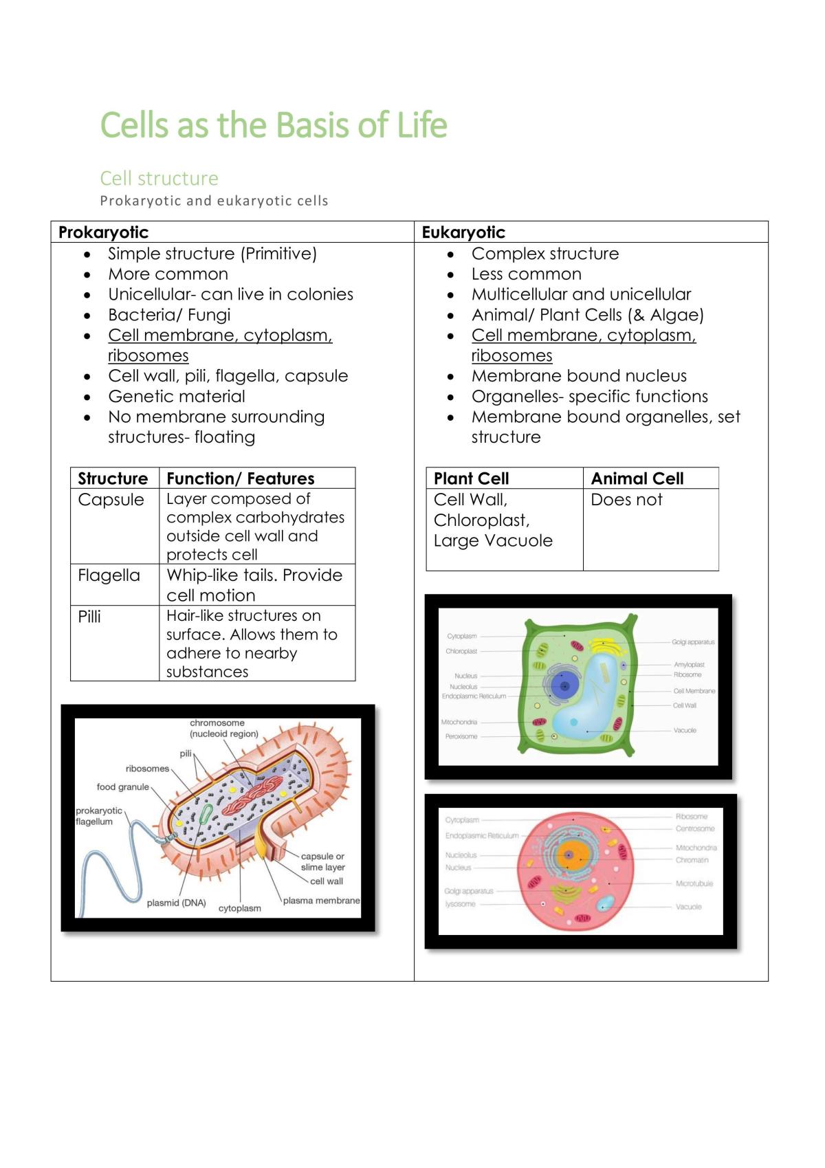 BIO prelim notes - Page 2