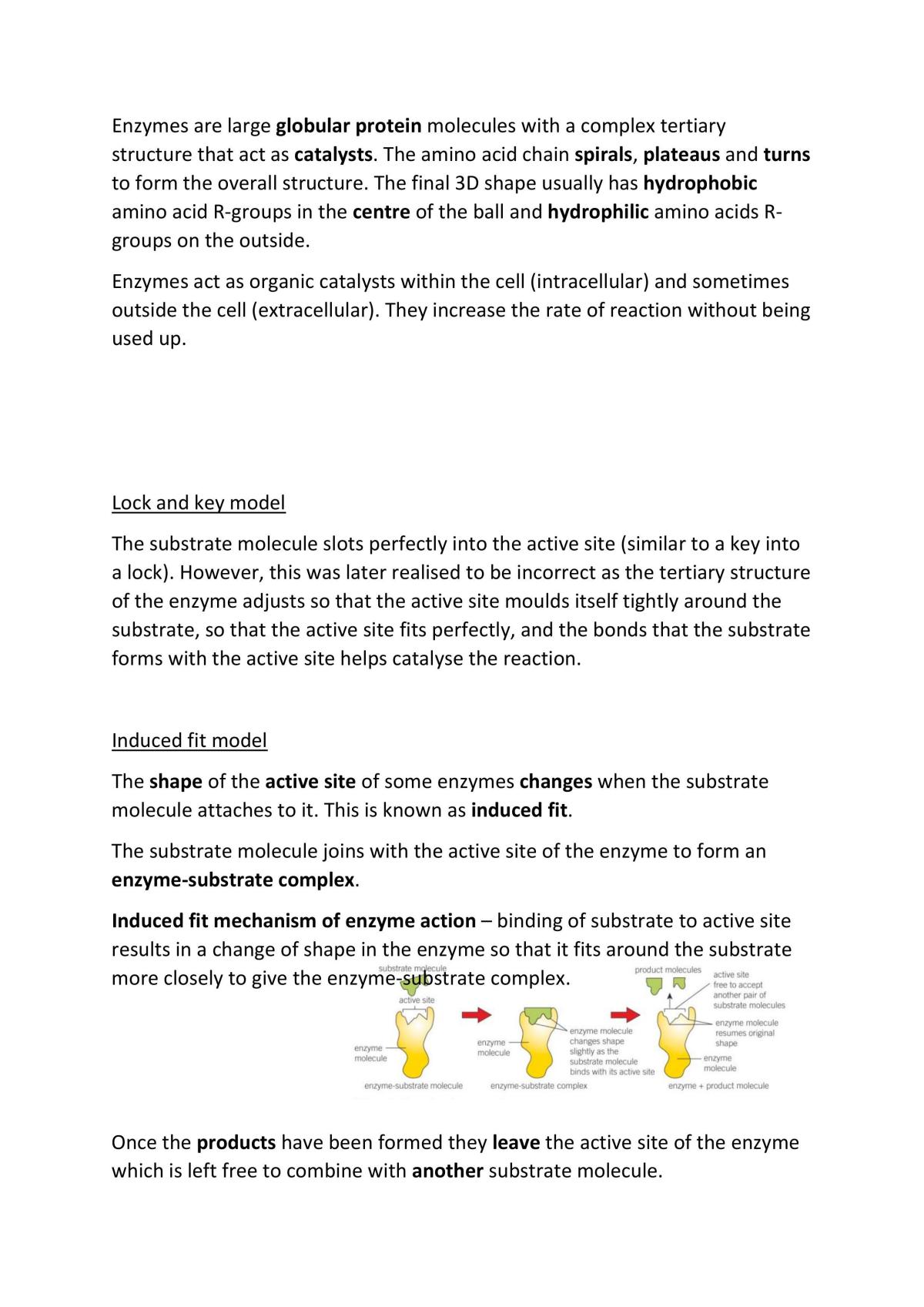 Biological molecules and nucleic acids - Page 10