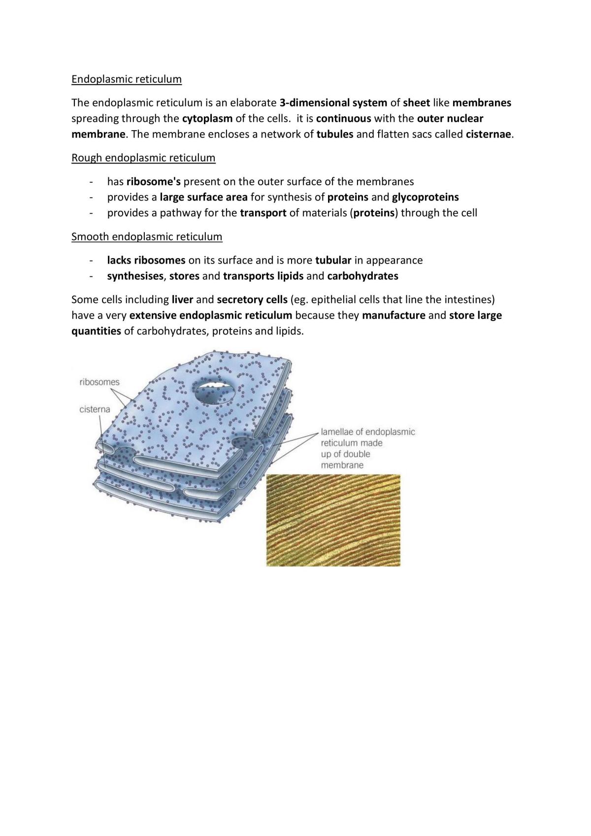 Movement of substances - Page 12