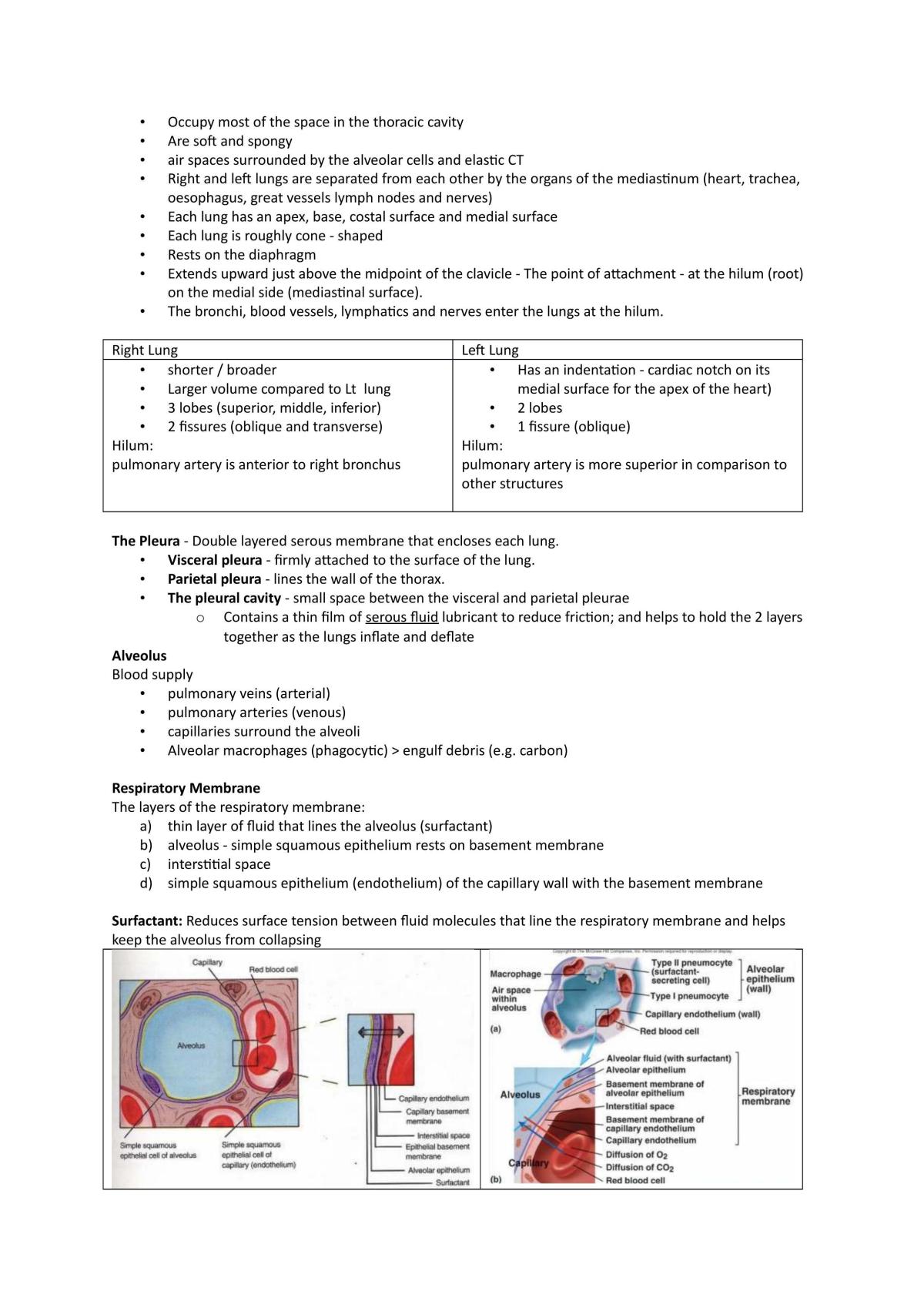 Introduction To Anatomy And Medical Terminology Study Notes - Page 39