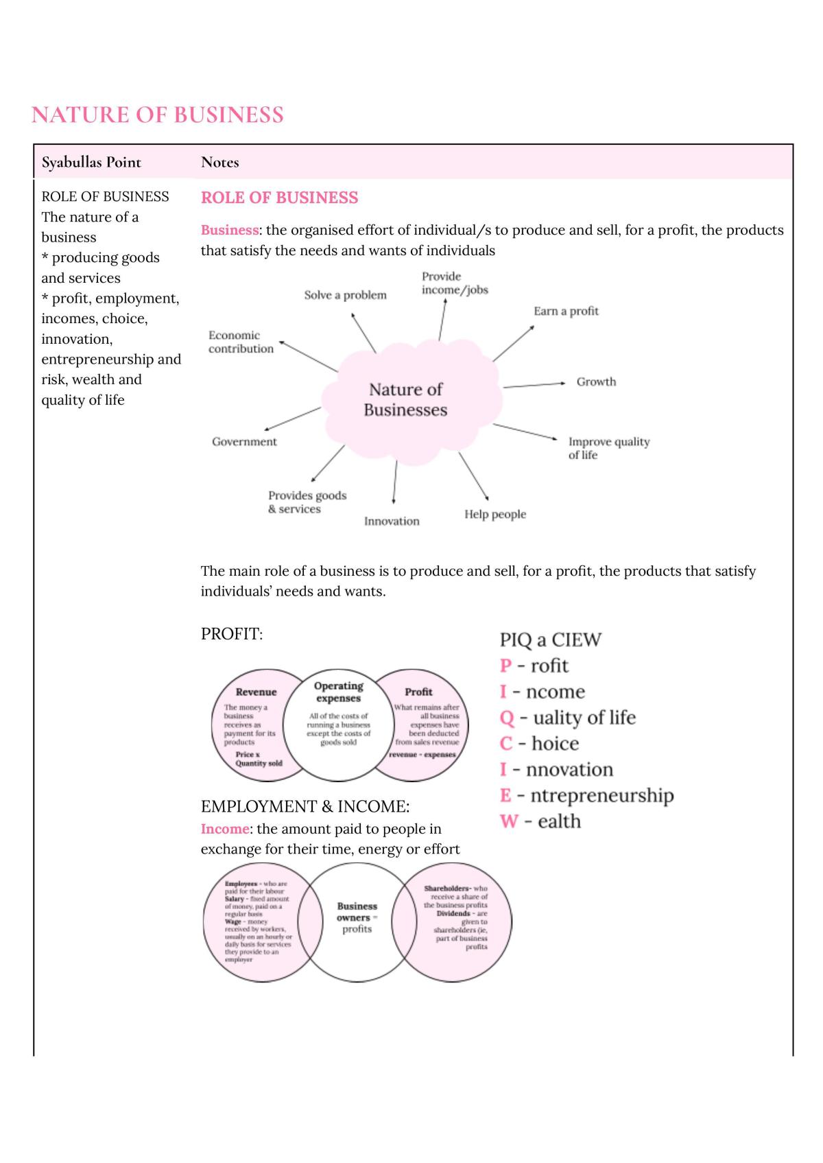 Business Study Notes - Prelim - Page 2