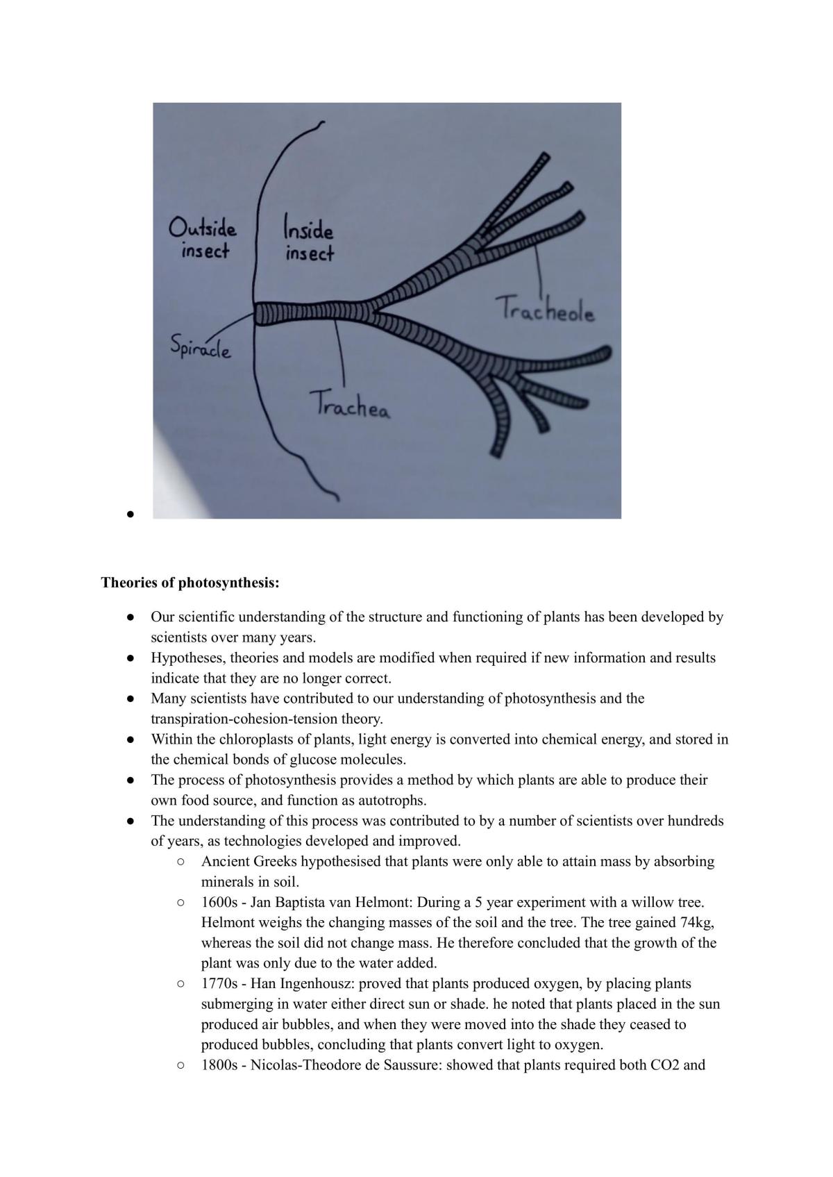 Preliminary Biology Notes on All Modules - Page 23
