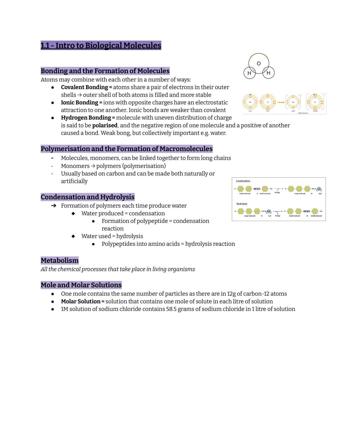 Ch 1 - Biological Molecules  - Page 2