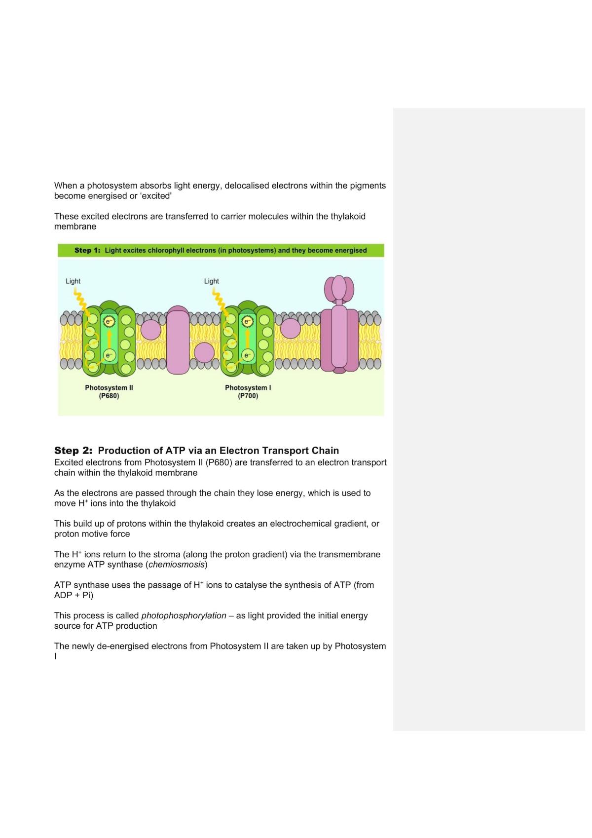 Unit 2 2023 exam notes - Page 33