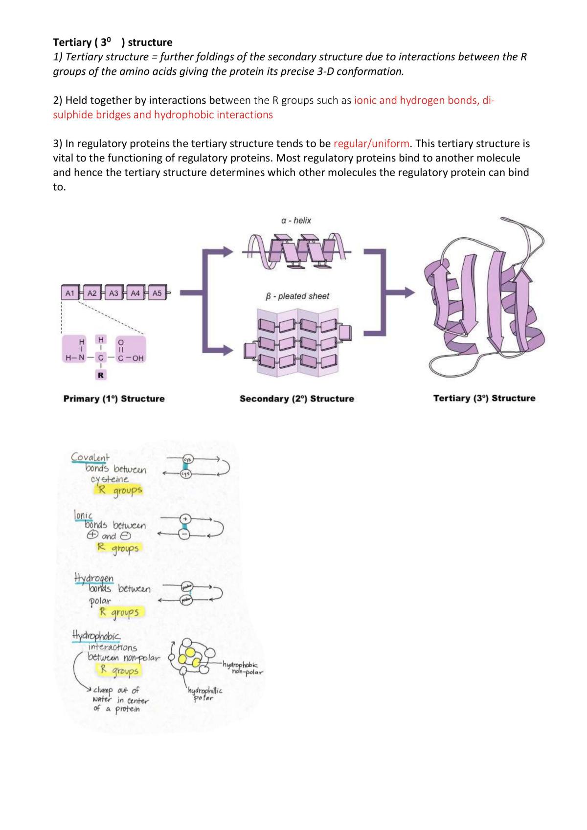 Protein - Page 13