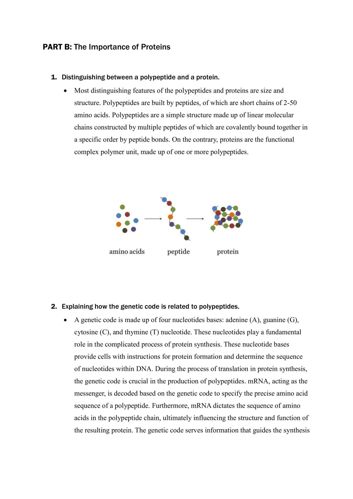 Polypeptide synthesis assessment - Page 2