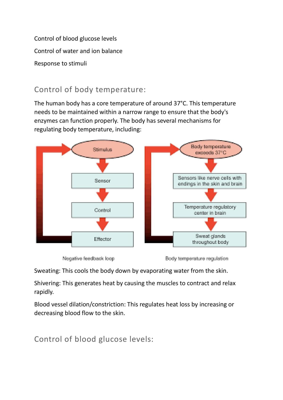 Biology AQA all GCSE notes - Page 11