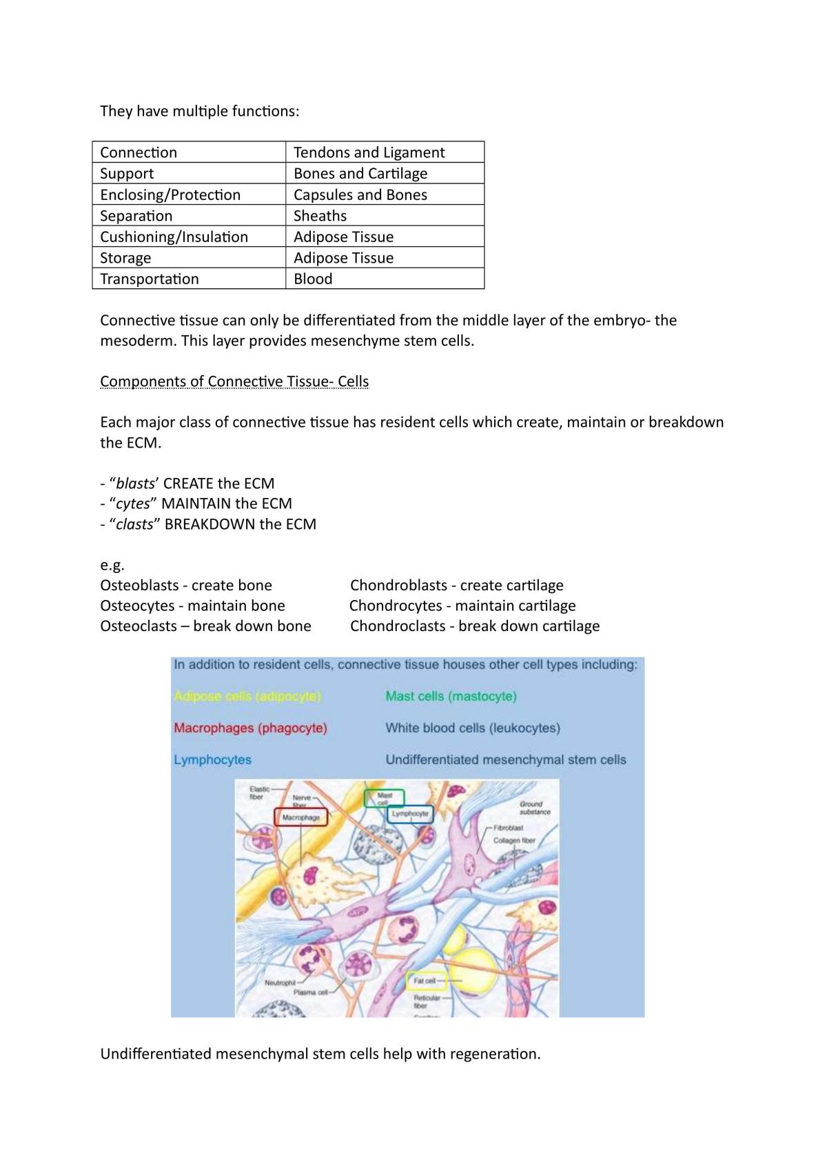 Block 1 Notes - Page 11