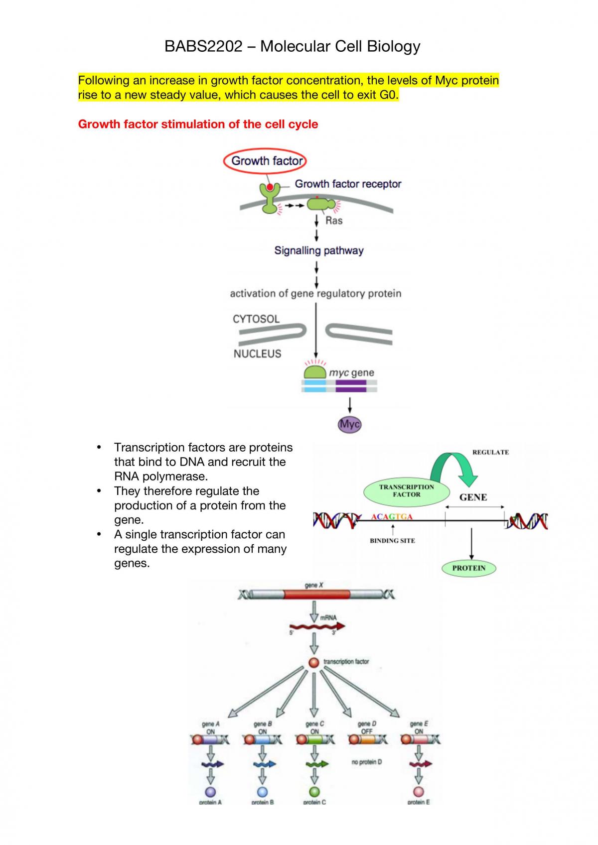 Study Notes for BABS2202 - Page 28