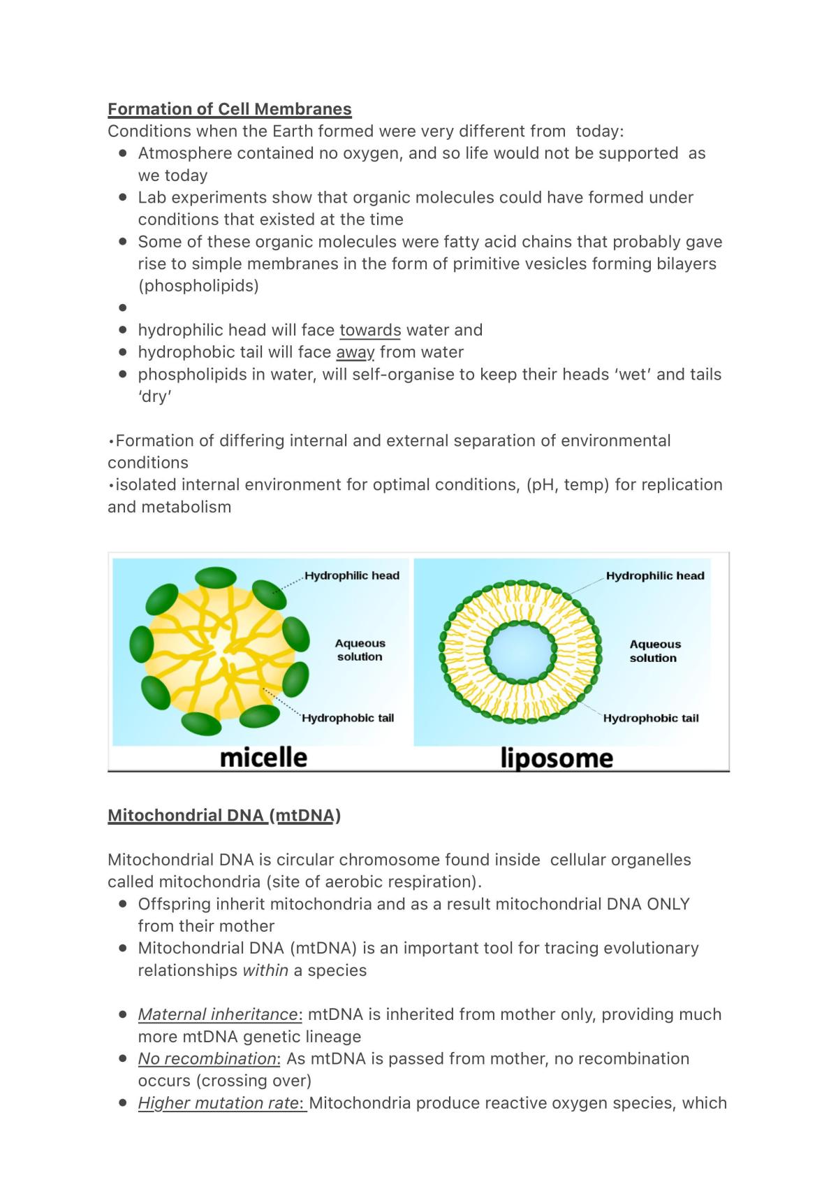 Sace Stage 2 Biology Study Notes - Page 2