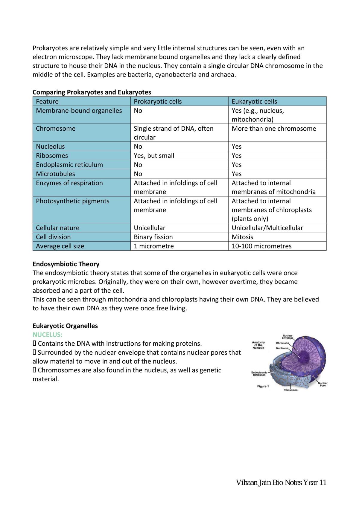 Year 11 Biology Complete Syllabus Notes - Page 2