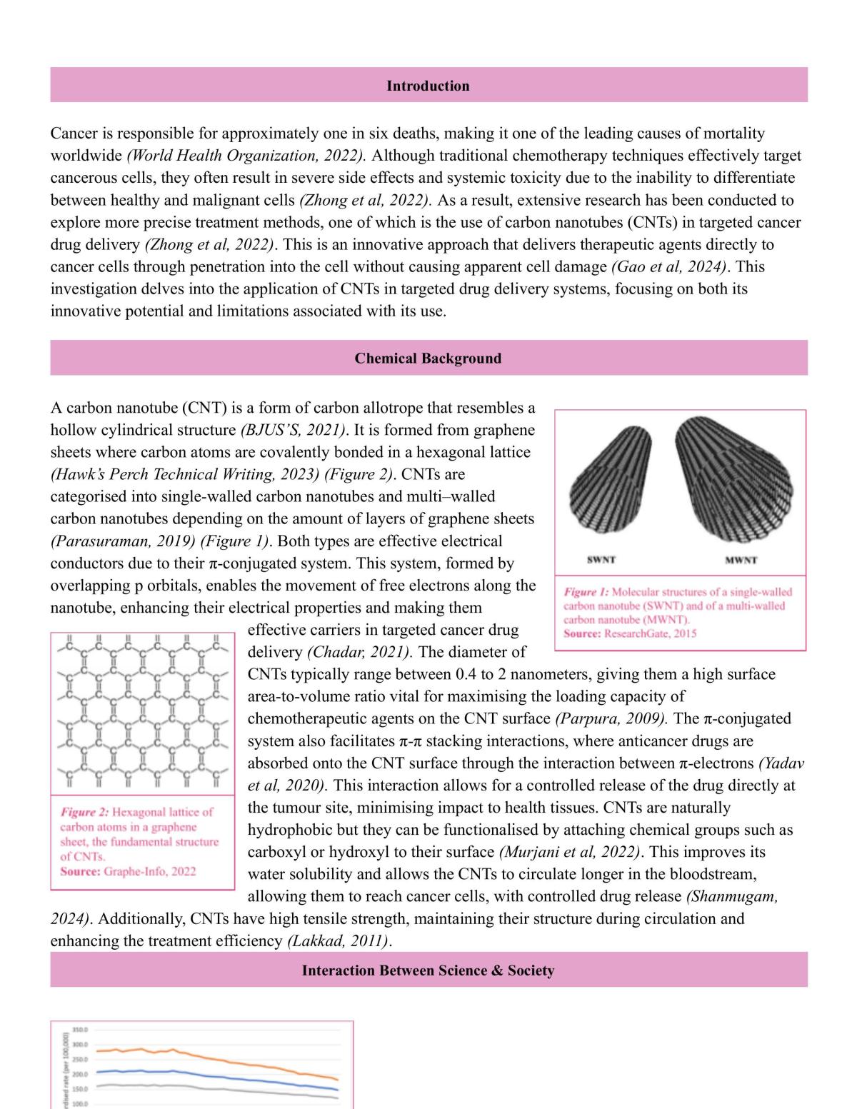 Carbon Nanotubes SHE Task - Page 2