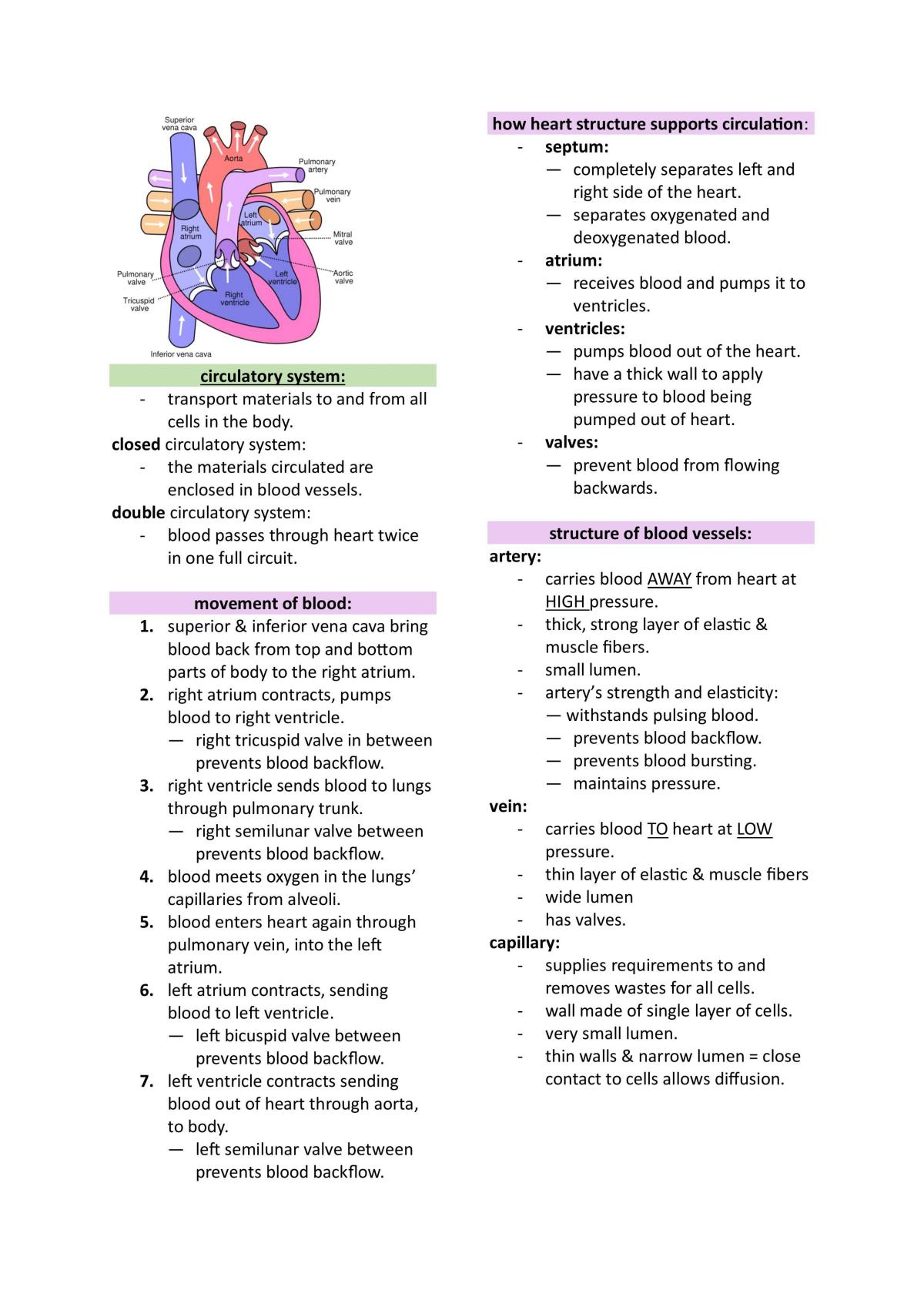 Unit 1 - Year 11 Human Bio Notes - Page 7