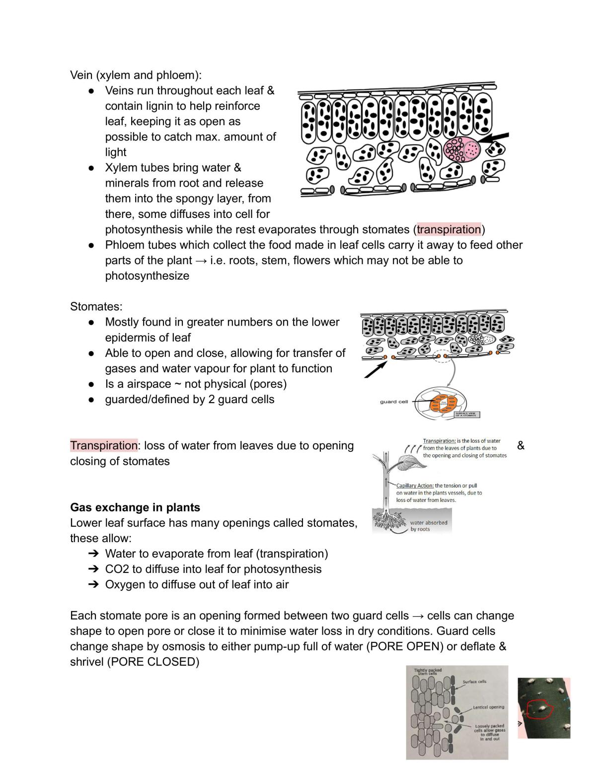 Bio Mod 2 Notes - Page 15