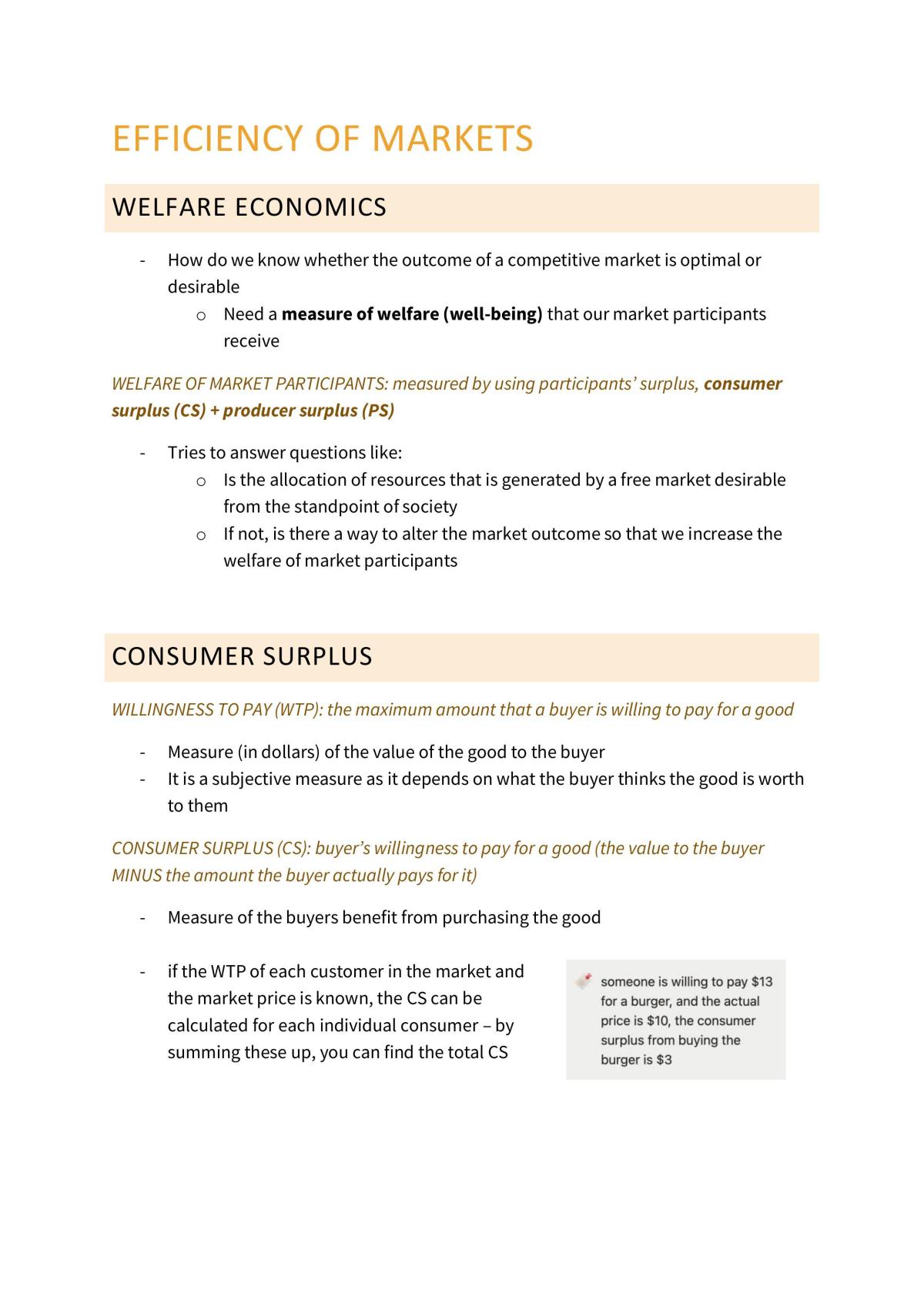 Microeconomics Notes - Page 25