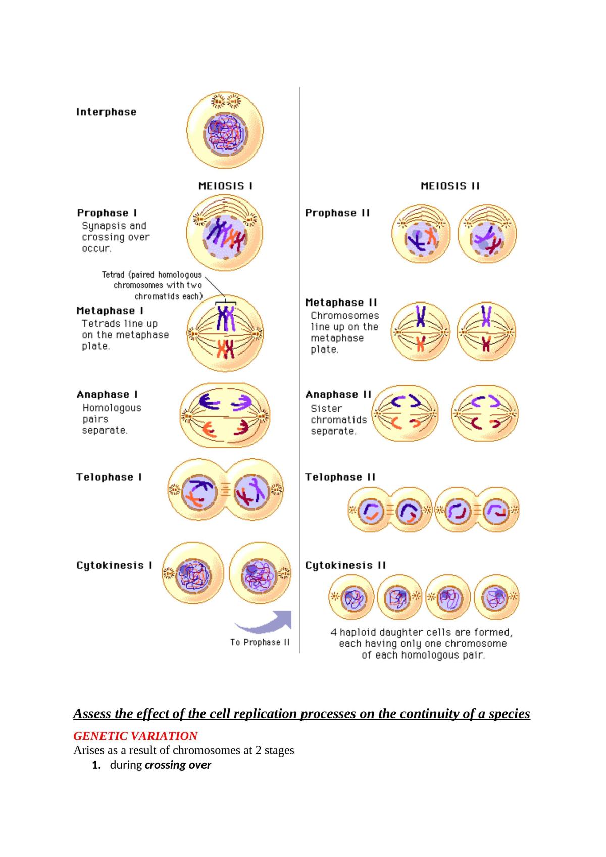 Module 5 - Heredity Notes - Page 16