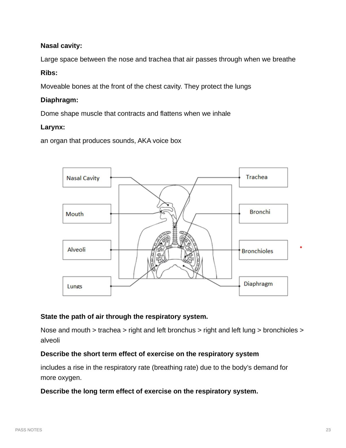 Pdhpe Complete Syllabus Notes  - Page 23