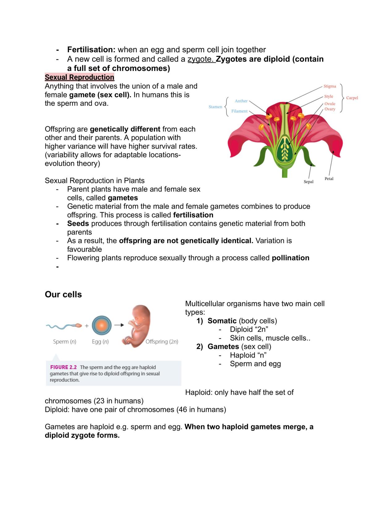 Module 5 Complete Theory Notes - Page 2