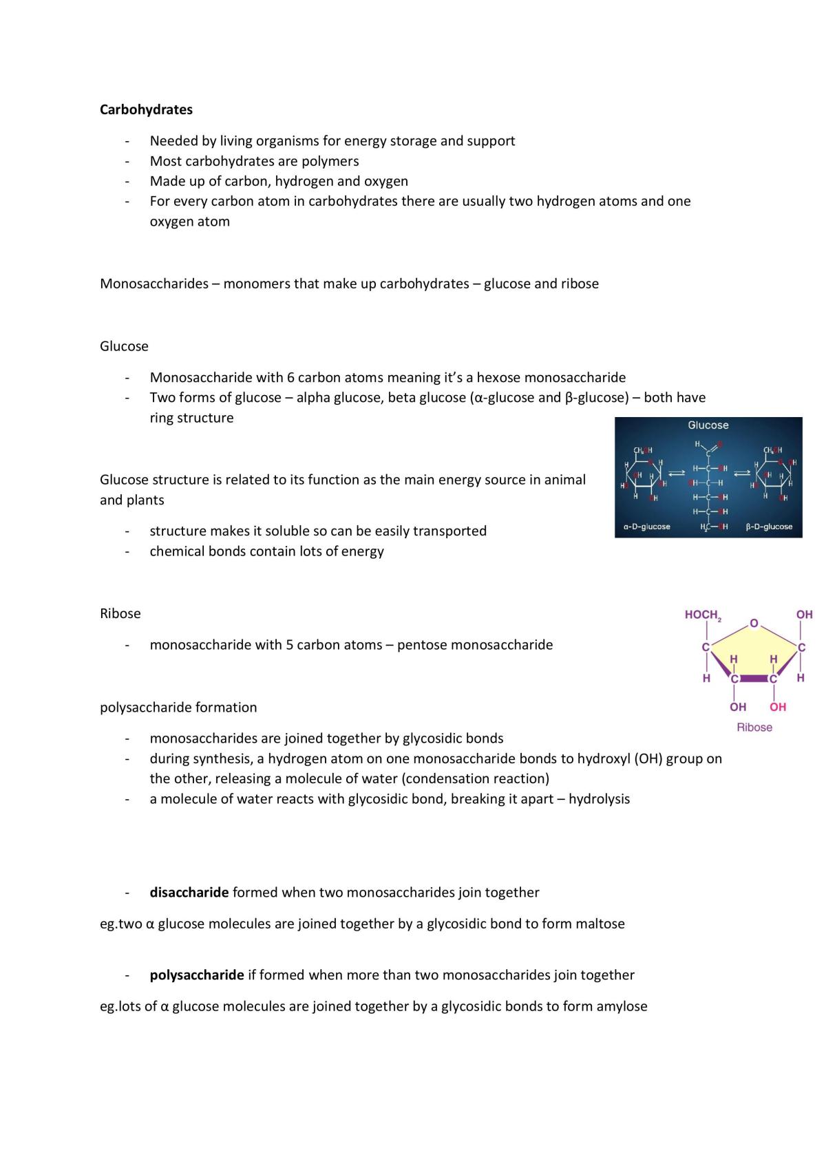 Biology revision - notes from textbook  - Page 14